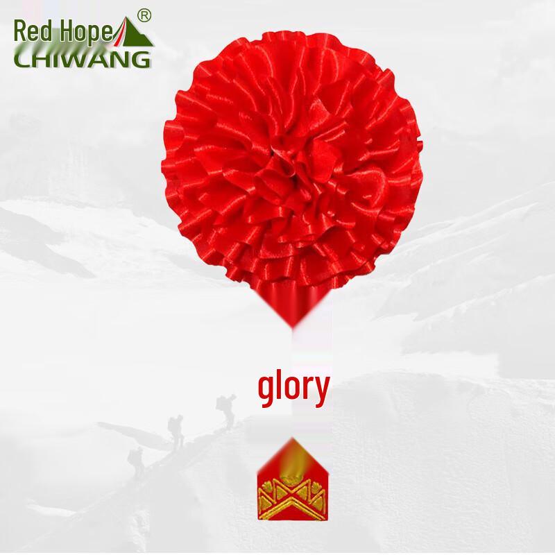 Glorious Commendation Silk Brooch Set