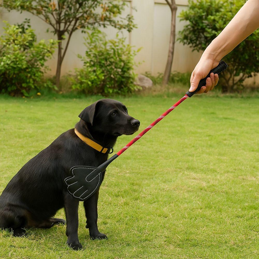 Palm Shape Dog Training Whips Random Color Pet Training Stick Flirt Pole  Exercise Training