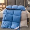 Downproof Velvet-Quilt: All-Season Comfort for Homestay and Students