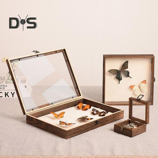 High-Visibility Display Box Large Insect Shadow Box Wood Construction Multiple Sizes Smooth Edge Insect Specimens Storage Display Case