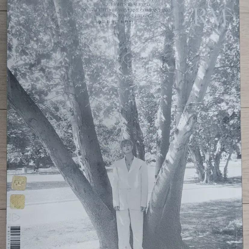 

BTS Rm Фотобук Я, Сам