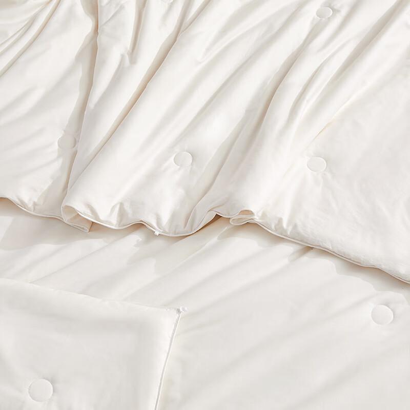 BEYOND HOME TEXTILE All-Season 100% Tussah Silk Two-in-One Duvet