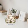 White Lambs Design, Unique Creative Office & Home Desktop Decor, Christmas Gifts, Festive Tabletop Display, Nurseries, Home Desk Living Room Acrylic