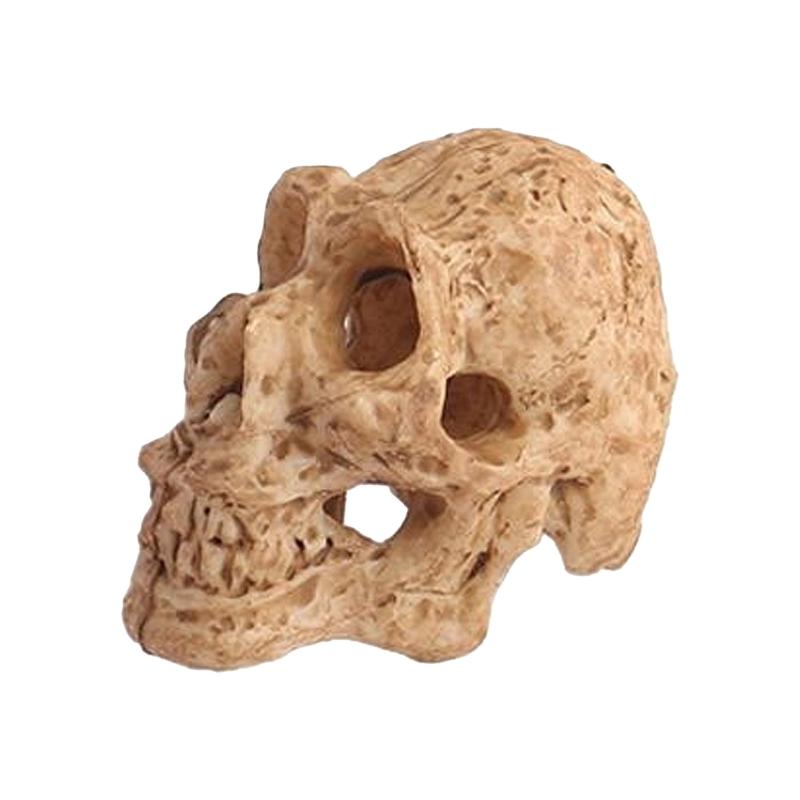 Fish Tank Miniature Skull Ornament DIY Artificial Aquarium Animal for Fish Play
