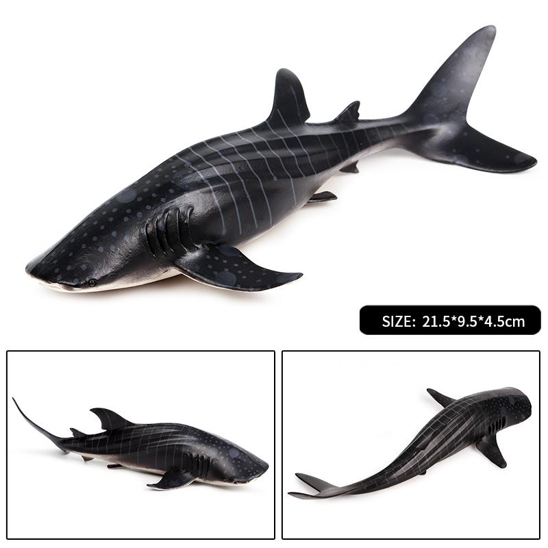 Oenux Ocean Animal Savage Megalodon Beluga Big Shark Orca Sperm Blue Whale Action Figures Sea Life Model Educational Kids Toy