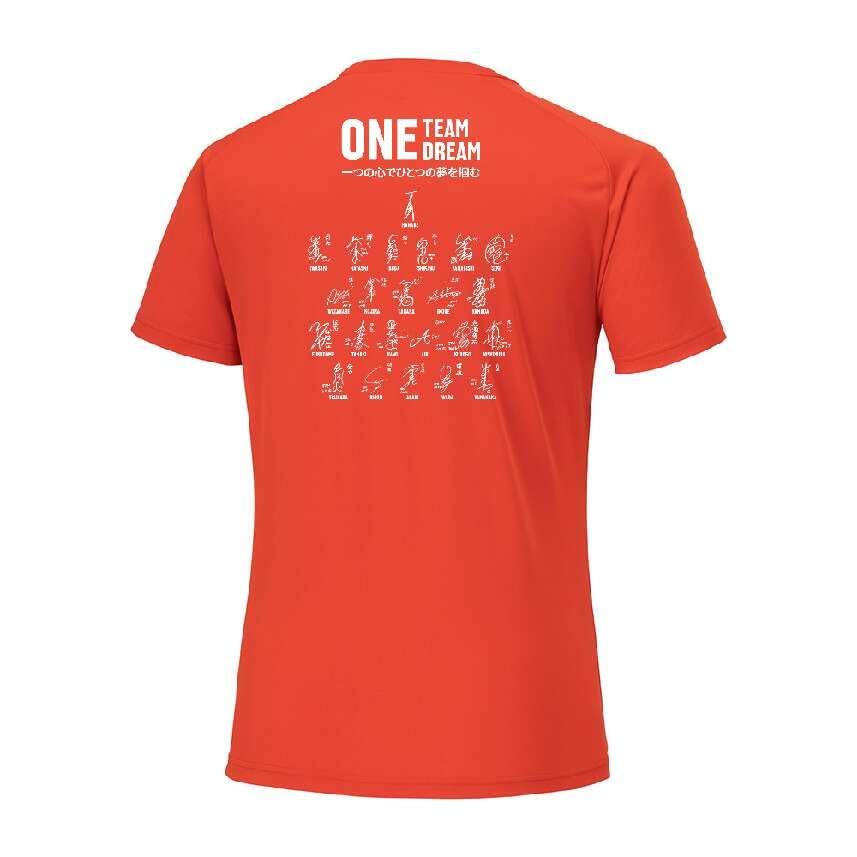 Volleyball Support T-Shirt, Japan Women's National Team, Unisex, Red, Size 2XL, V2MAB551