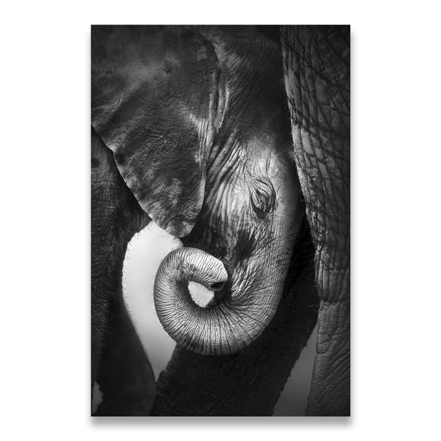 Jaguar Cow Cute Alpaca Animal Poster and Prints Black White Wall Art Nursery Canvas Painting Pictures for Living Room Home Decor