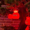 OEING Outdoor Hanging Lantern String Lights