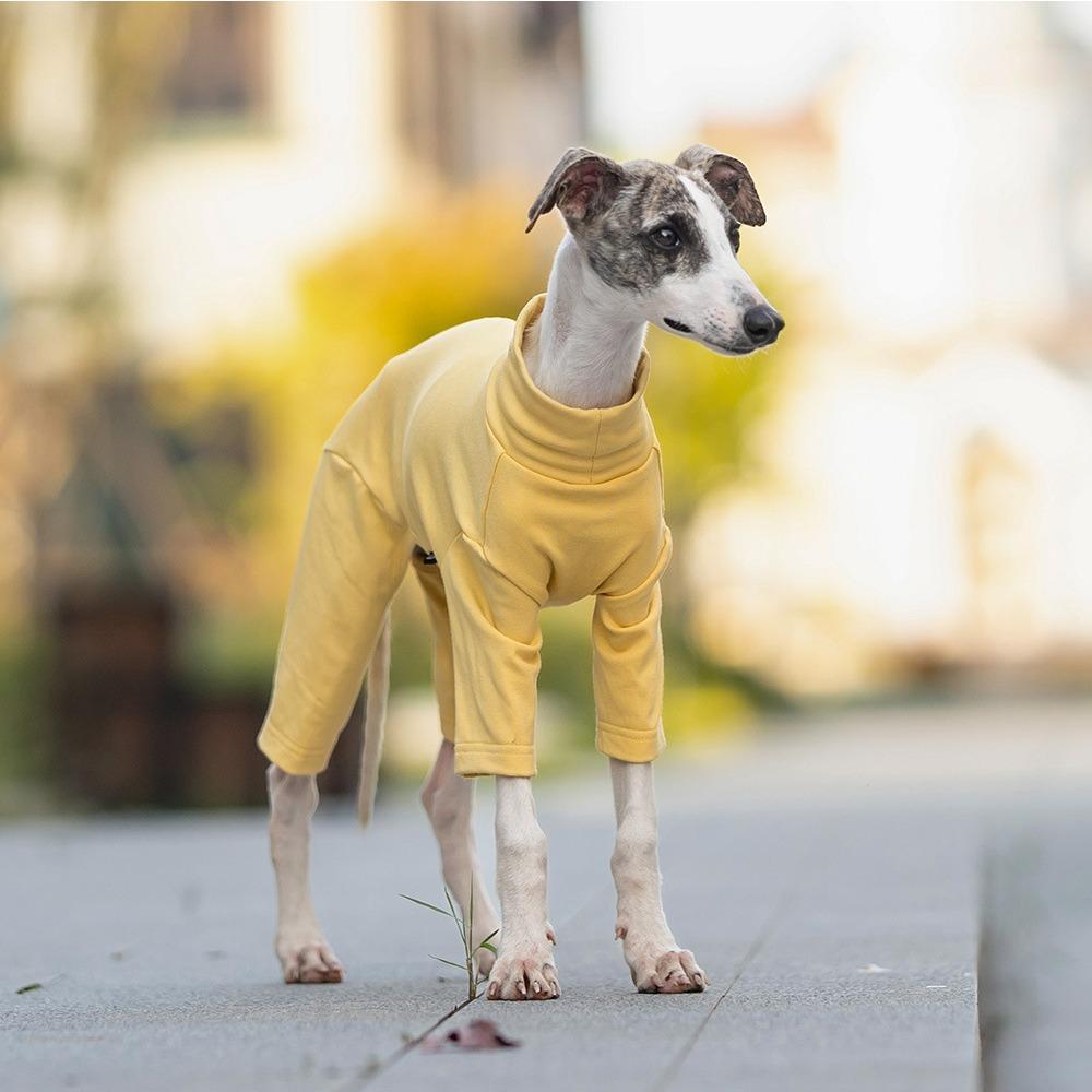 Four-legged Bottoming Shirt, Universal In Autumn and Winter, Dog Turtleneck Loungewear, Dust-proof Clothing, Low-saturation Pet Dog Clothing