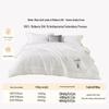 Premium Cotton Mulberry Silk Winter Quilt