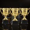 Goldene Trophäen, Preise, Klassenzimmer, Schule, Belohnungen, Kinder, Plastiktrophäen, Spielzeug für Kinder, Partygeschenke, Requisiten, Belohnungen, Gewinnpreise