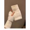 Autumn And Winter Warm And Cold Resistant Gloves For Women, Versatile Plush Temperament Cute Half Finger Gloves