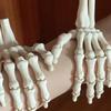 1/2PCS 3D Printed Realistic Flexible Joint Skeleton Hand Model Ghost Halloween Party Decoration Home Ornament