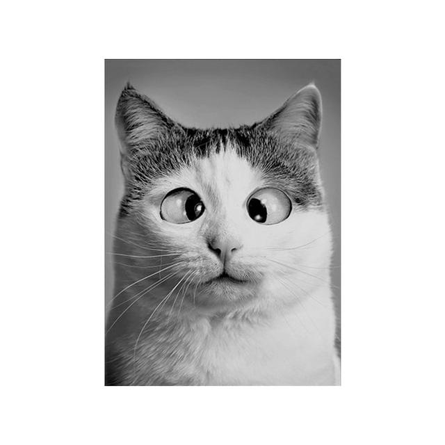 Funny Cute Cat Canvas Paintings Animal Big Eyes Kitty Posters and Prints Black and White Pictures for Kids BedRoom Home Decor No Frame