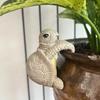 Potted Plant Partner Tortoise Climbing Garden Statue Garden Figurine  Home Living Room