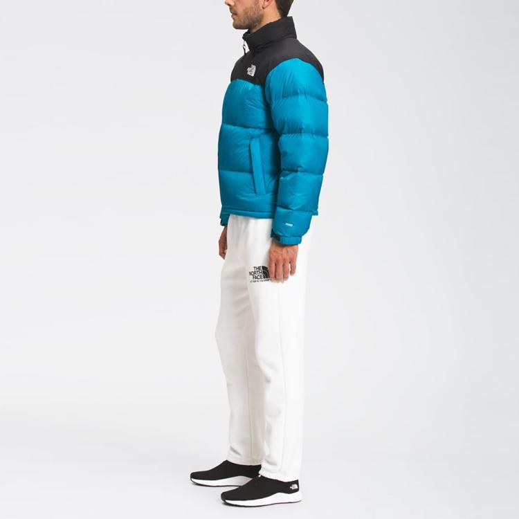THE NORTH FACE 1996 Retro Nuptse Packable Jacket NF0A3C8D-D7R