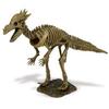 Dinosaur Skeleton Excavation Kit - Stygimoloch