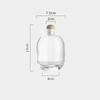 Wine Bottle Glass Empty Bottle Sparkling Wine Glass Bottle Sealed Jar Wine Homemade Green Plum Divide Bottles