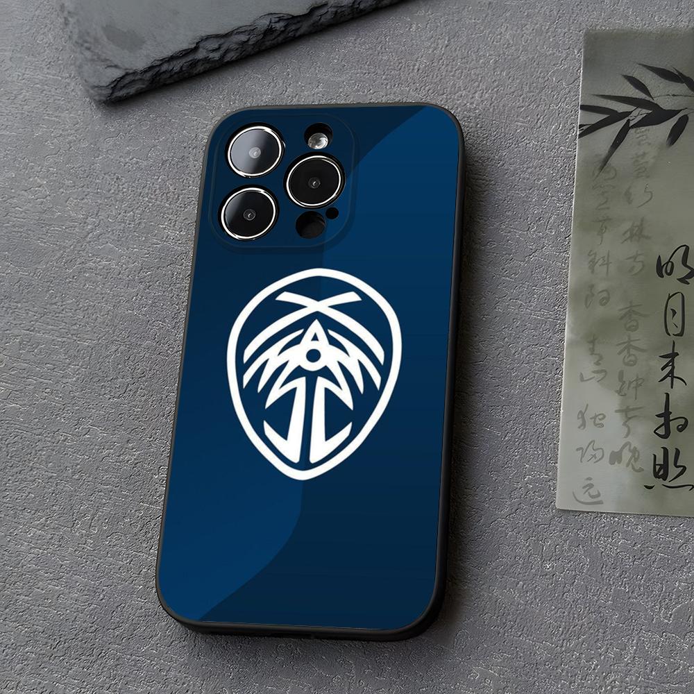 

Stormlight Archive Phone Case Funda For Iphone 13 17 16 11 15ProMax 14 12 Pro Xs Max Mini Xr X 7 8 6 6s Plus Covers iPhone 16 Pro Max