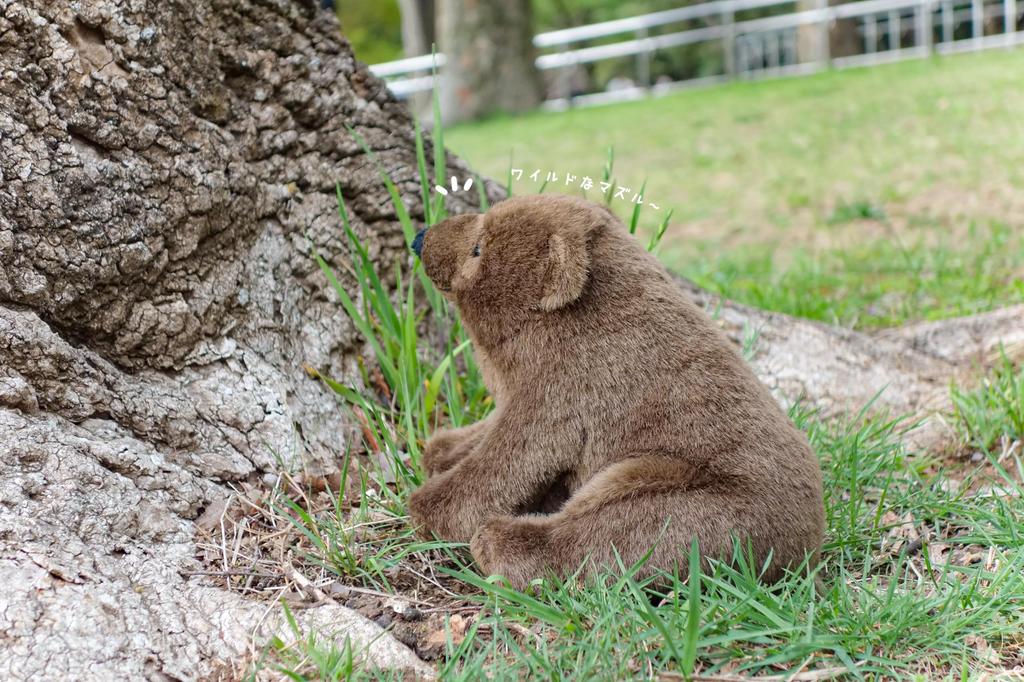 Yoshitoku Land Friends Brunbjørn Plysjleke 180253