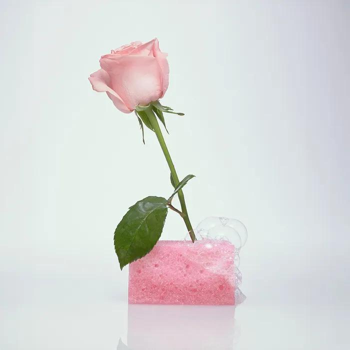 Glossy Everyday Hair Oil Sleeping Rose 60ML + [Free] Sennok Body & Hair Care 4 Types (7mlX4)