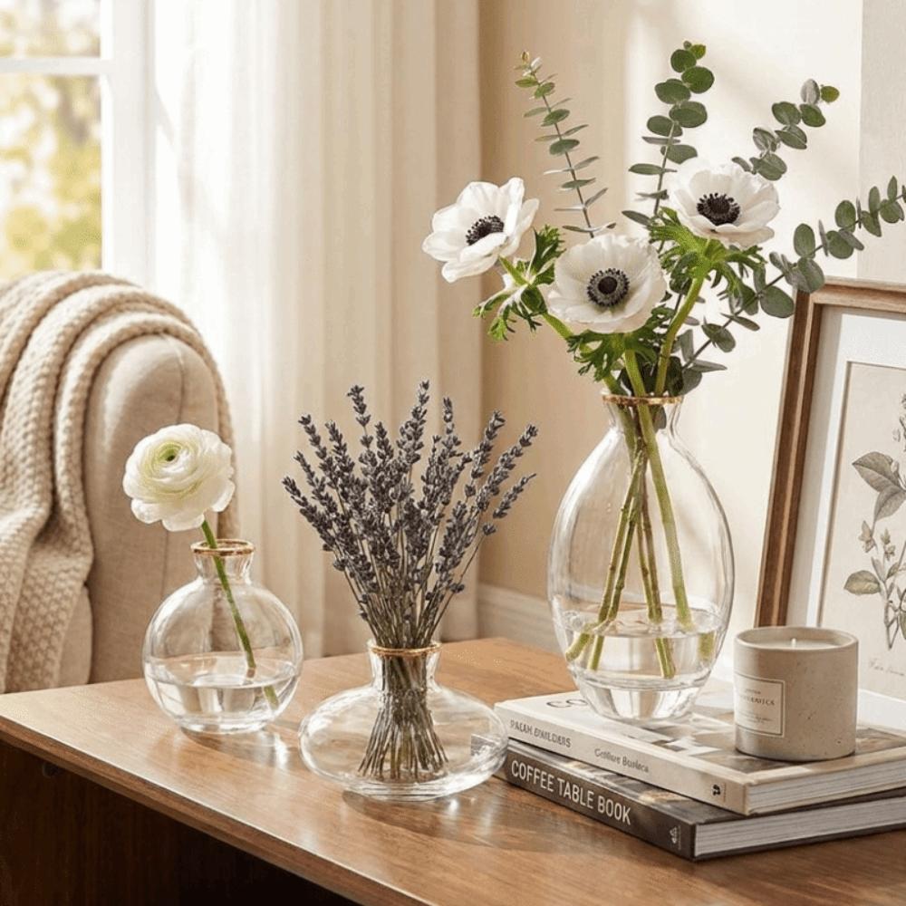 3PCS Nordic Style Mini Vase Set Minimalist Hydroponic Vase Elegant Small Plant Pots Kitchen