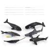 Realistic Marine Animal Models With Static Display For Aquarium Decoration And Educational Purposes
