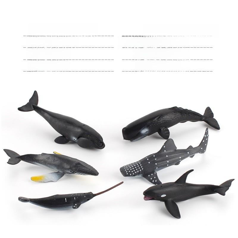 Realistic Marine Animal Models With Static Display For Aquarium Decoration And Educational Purposes