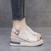 2025 New Ladies Shoes Peep Toe Women's Sandals Buckle Strap Casual Sandals Women Summer Plus Size Wedge Sandals Zapatos