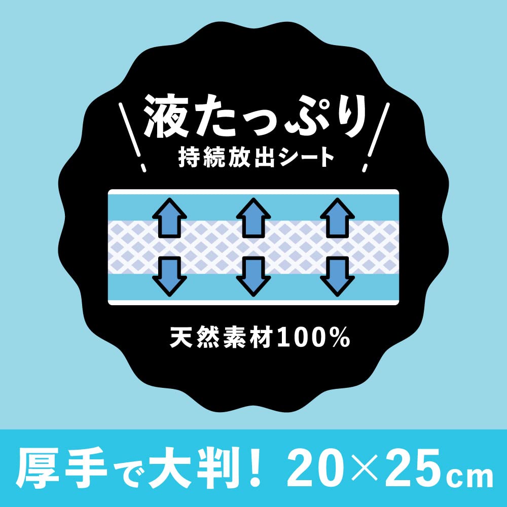 Biore Facial Cleansing Sheet Skin Care Type Tabletop Men's