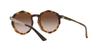 [ARMANI EXCHANGE] [Armani Exchange] Sunglasses AX4132SU SHINY HAVANA FrameGRADIENT BROWN Lens 51