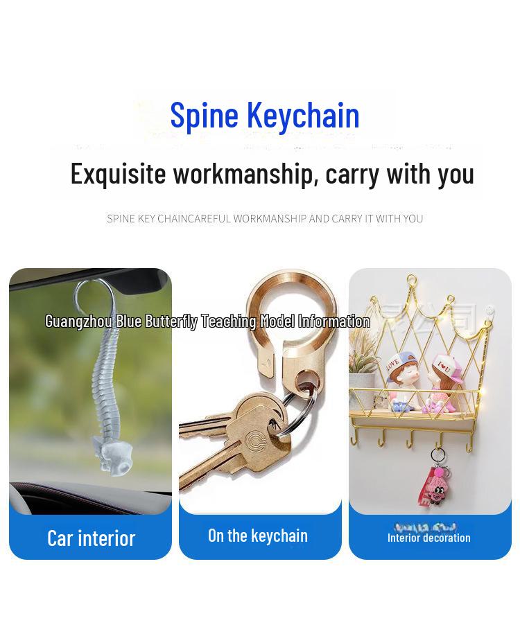 Miniaturní klíčenka lidské páteře - Model kostry bederních obratlů