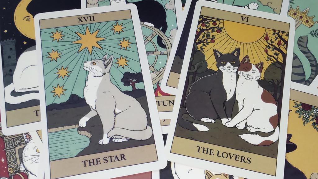 78 Cat Illustrations Tarot Cards Fortune Telling [AZAASU]