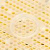 Plastic   Rearing Bee Breeding Kit Cage Marking Bottle Beekeeping Accessories for Beekeeping Worker