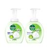 Foaming Antibacterial Hand Wash, Lime Scent (2x250ml)