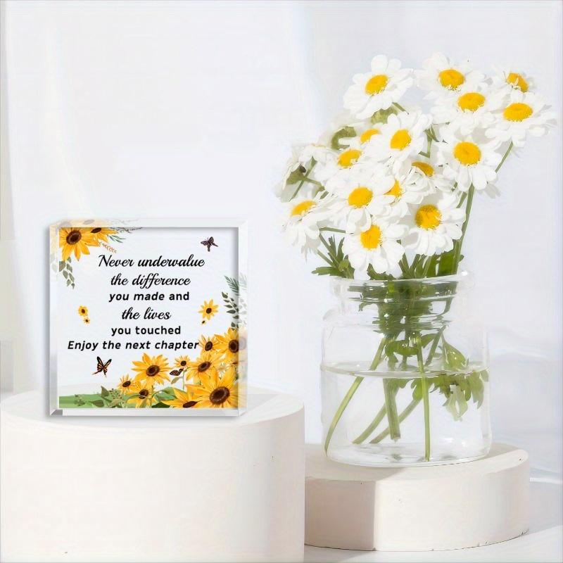 Versatile Colleague Plaque - Retirement & Farewell Gift with Photography Utility