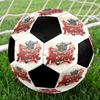 Arsenal F.C Soccer Ball Colorful All Ages Machine Stitched PVC Competition Ready Durable High-Bounce.SIZE5