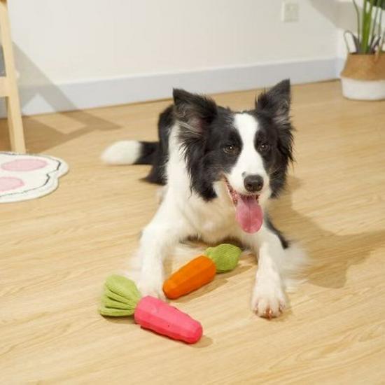 Carrot Squeaky Rubber Dog Toy for Puppy Teething and Entertainment