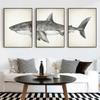 Marine Animals Canvas Paintings Great White Shark Posters and Prints Killer Whale Wall Art Picture for Home Decoration No Frame