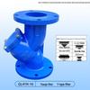 DN65 Gusseisen Y-Form Flanschfilterventil