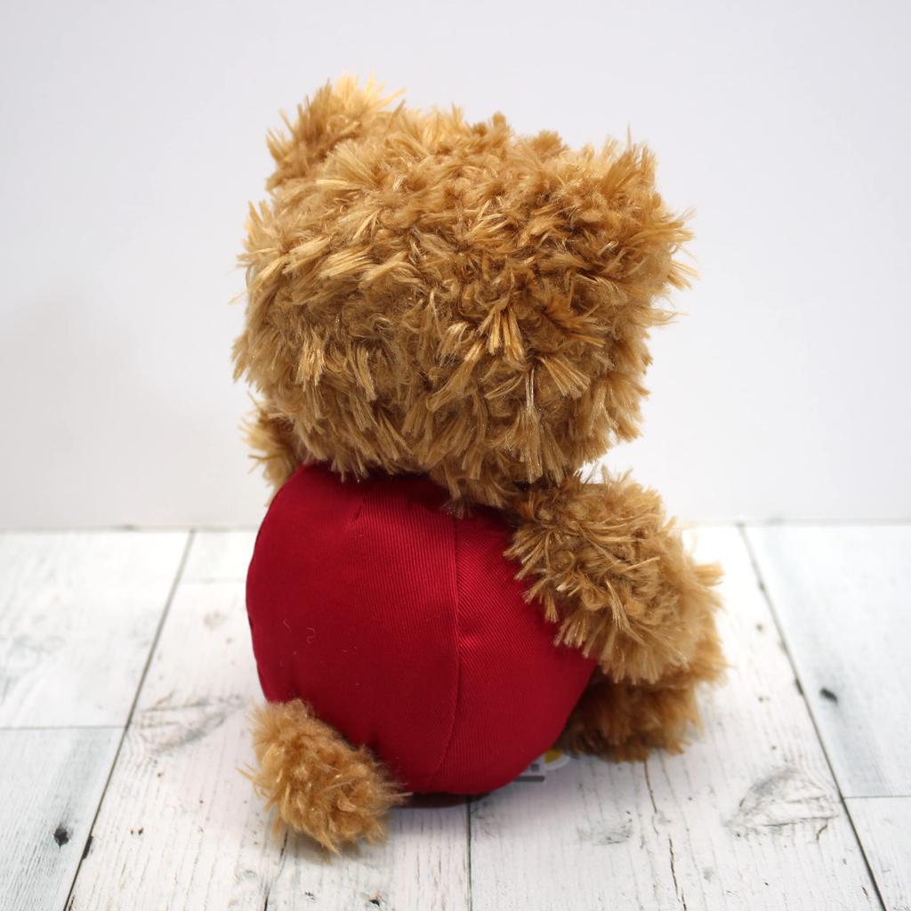 Takeoff Plush Toy July Brown BEAR'S365