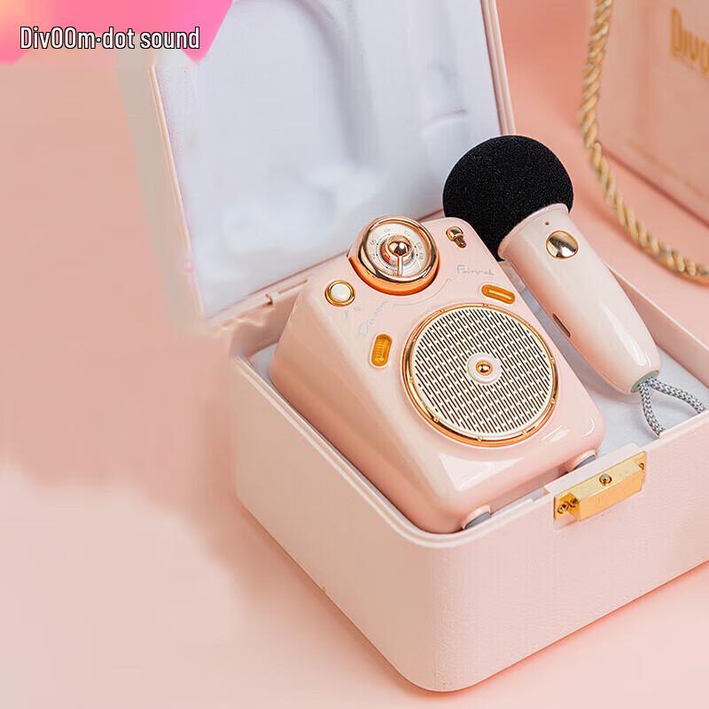 DianYin Portable Bluetooth Karaoke Speaker