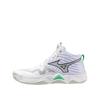 Indoor Volleyball Shoe Wave Momentum Elite Mid