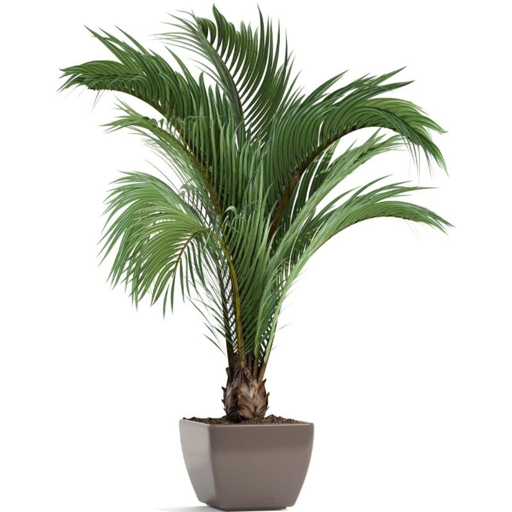 PVC Green Plant Potted Wall Sticker Self-adhesive Removable Wall Decals Waterproof Eco-friendly Decoration Mural