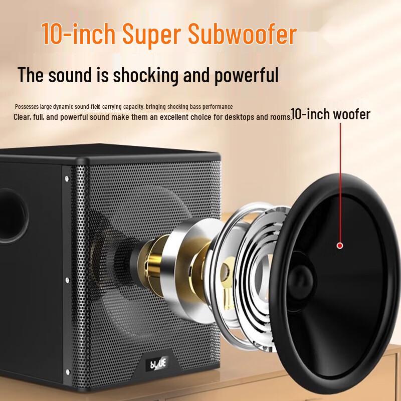 SAST A19 Home KTV Audio System with Subwoofer and Dual Microphones