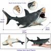 Realistic Dinosaur Megalodon 28Cm Like a Living White Shark Predator