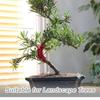 10-50pcs 90 Degree Plant Bender, Plant Training Tool, Hydroponic Garden Strong Training Clips, Bend & Shape Branches