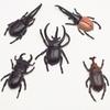 Beetle Simulation Toys Special Lifelike Model Realistic Insect Toy Models Nursery Teaching Aids Joke Toys Novelty Prank Props