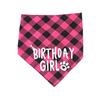 Pet Birthday Set Saliva Towel Triangle Towel Hat Pet Party Decoration Supplies Modeling Outdoor Creativity
