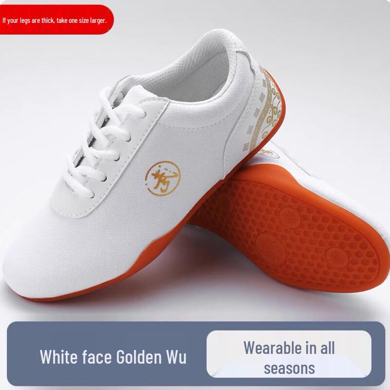 Tai Chi Martial Arts Training Shoes